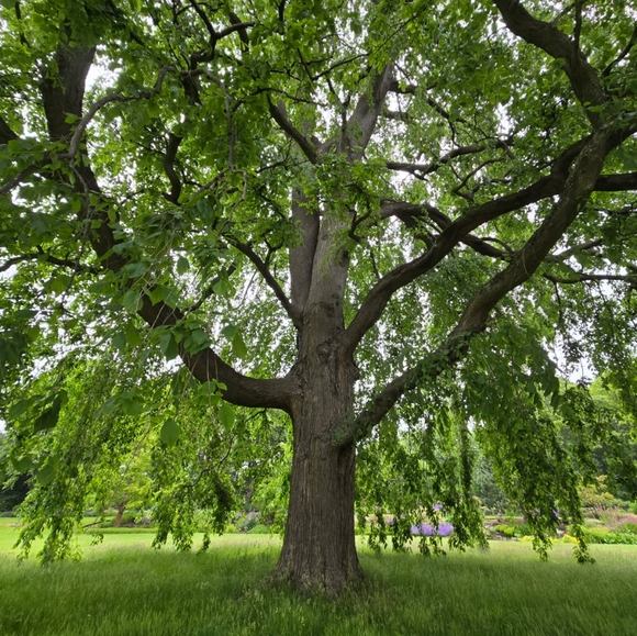 Great Things 😊❤️ - Picture 1 of 1